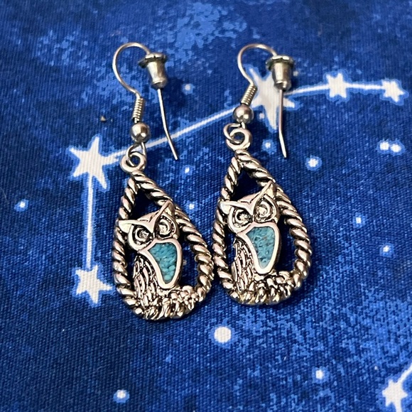 💜 NWOT Turquoise Owl Earrings - Picture 1 of 2